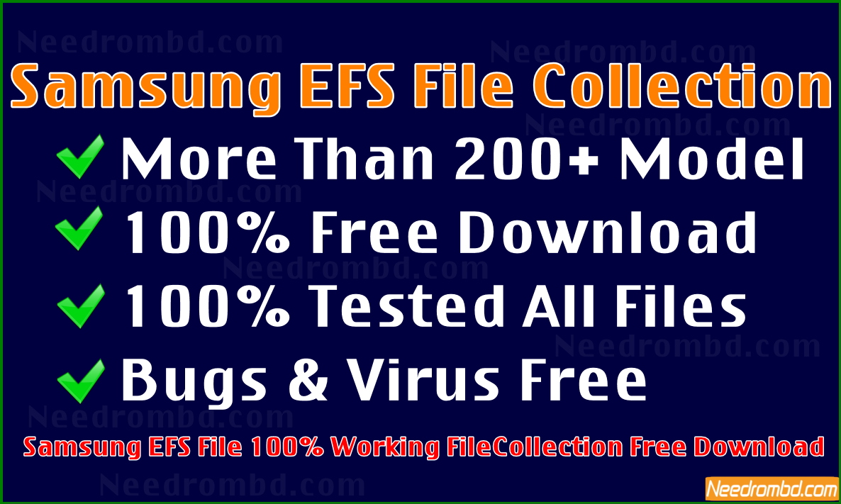 Samsung EFS File
