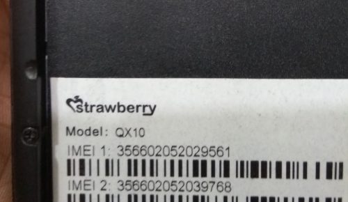 Strawberry QX10