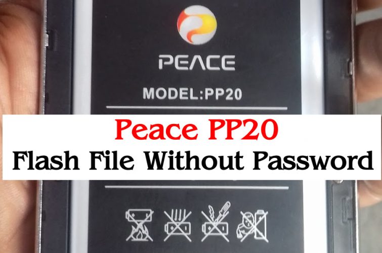 Peace PP20